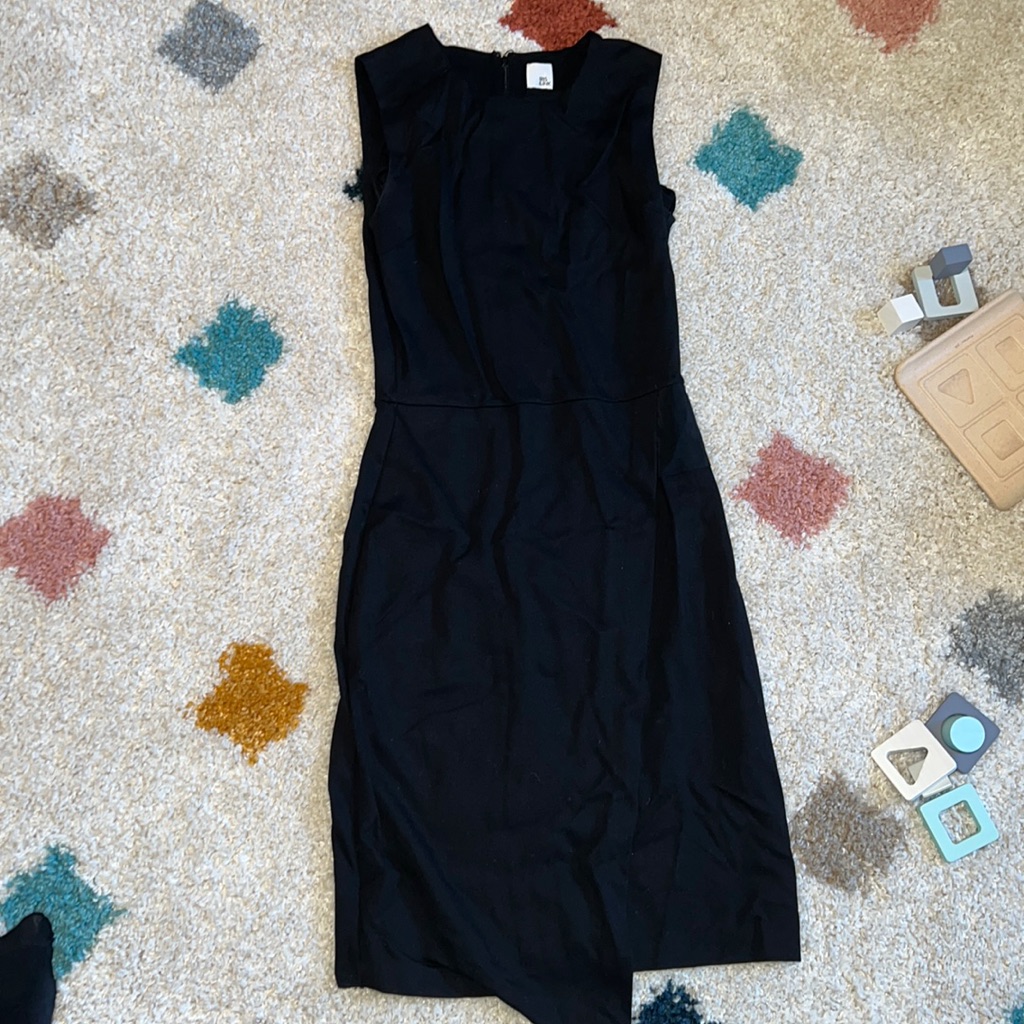 Iris & Ink Dress